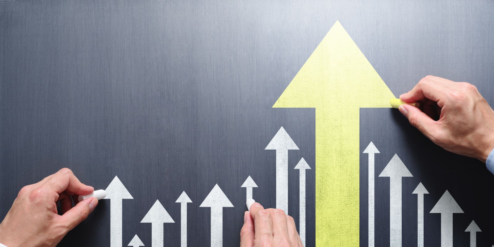 Senior Leadership Workforce Planning for Growth