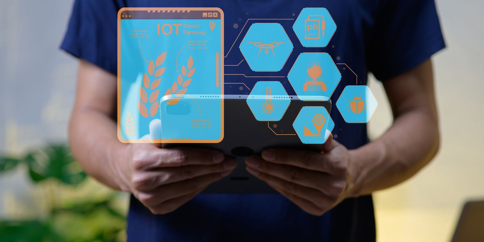 Innovative Talent Models For Growth